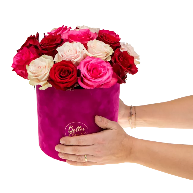 Květinový box růží